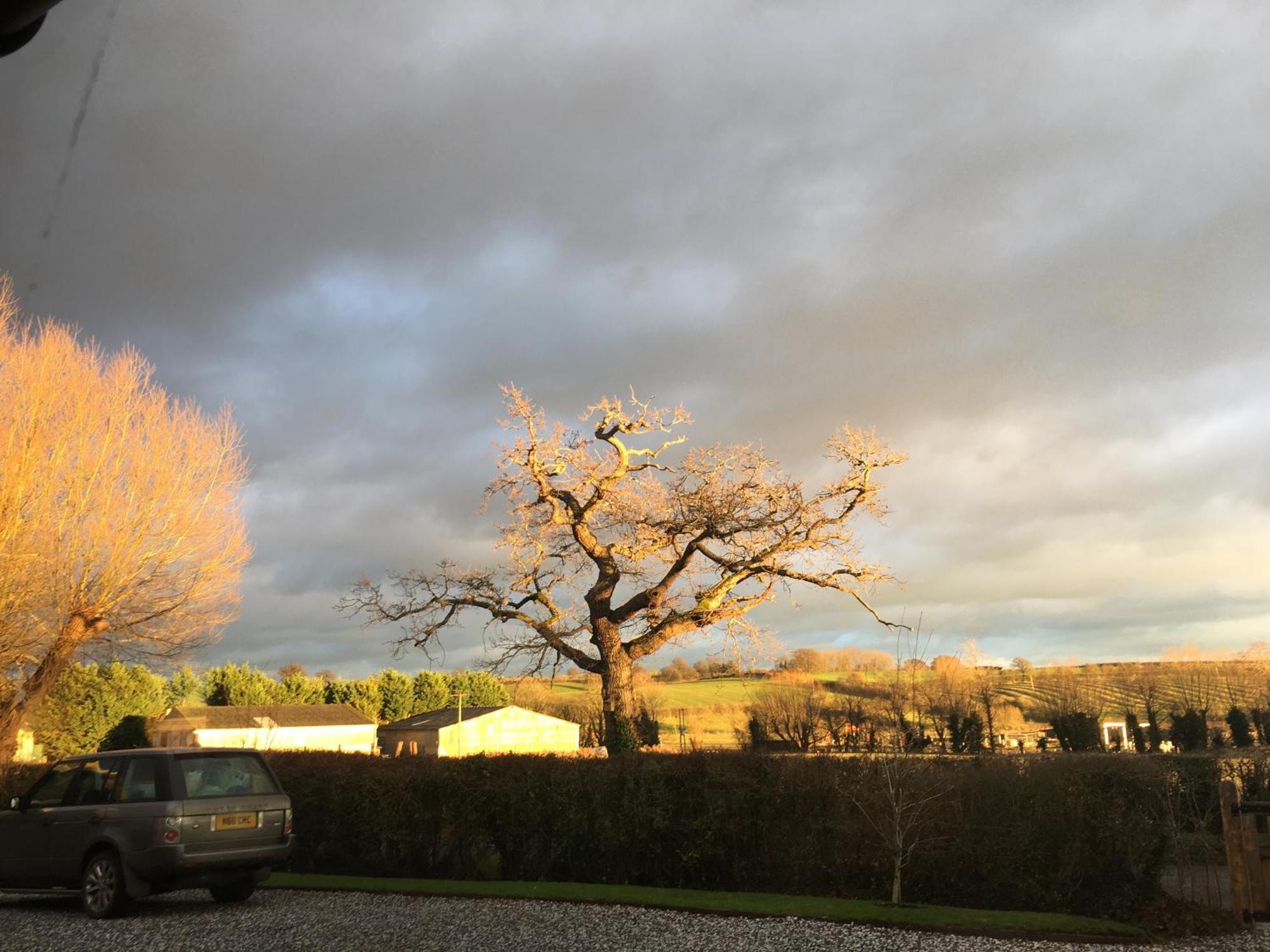 Oak Barn In The Cotswolds Near Moreton In Marsh Shipston-on-Stour Εξωτερικό φωτογραφία