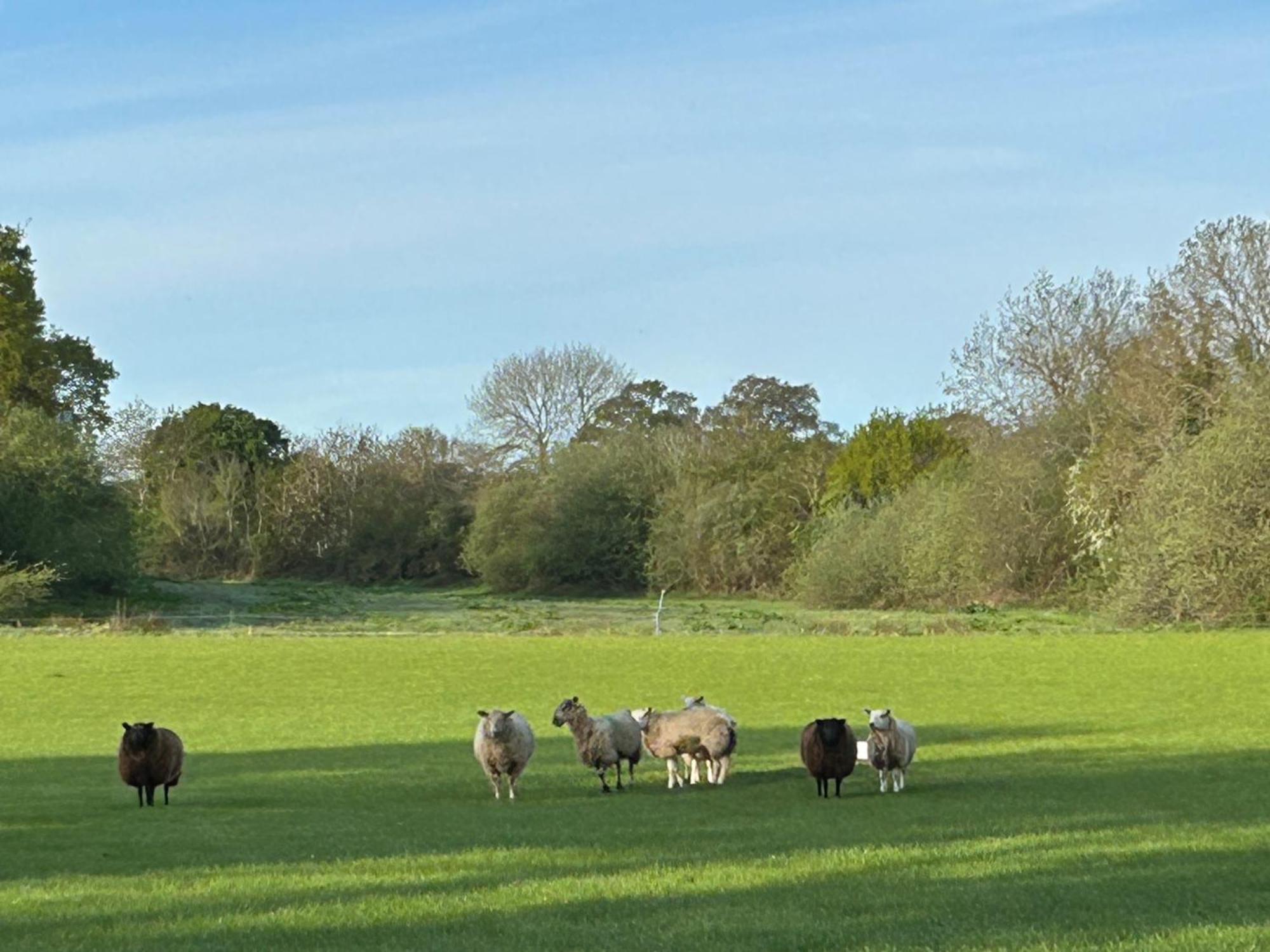Oak Barn In The Cotswolds Near Moreton In Marsh Shipston-on-Stour Εξωτερικό φωτογραφία